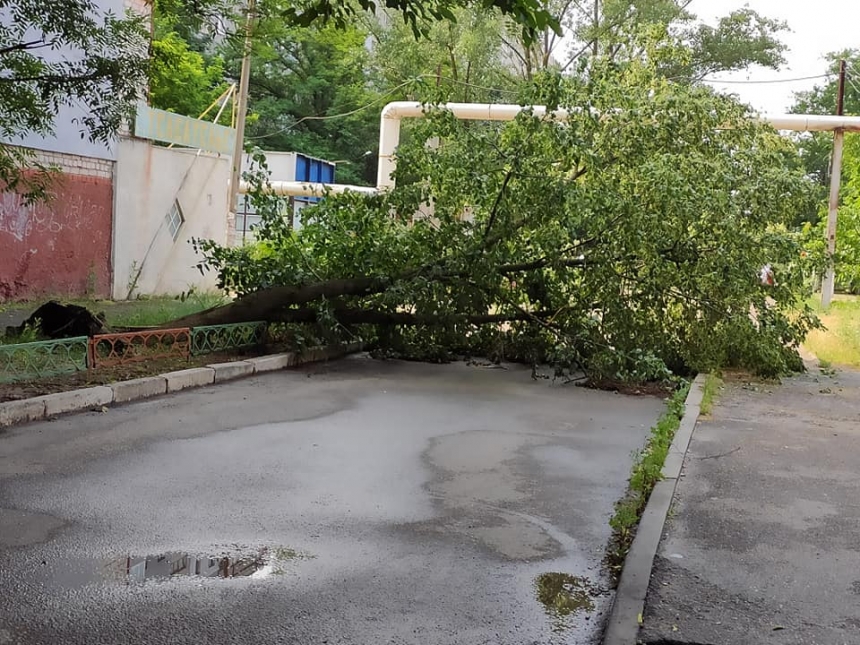 В Корабельном районе Николаева ночью бушевала непогода: повалены деревья, оборваны провода. ОБНОВЛЕНО