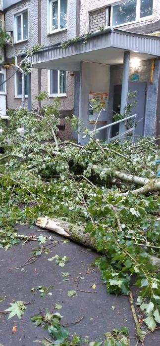 В Корабельном районе Николаева ночью бушевала непогода: повалены деревья, оборваны провода. ОБНОВЛЕНО