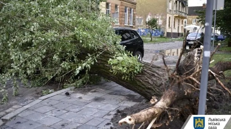 Во Львове вторая за неделю буря с ливнем: жителей просят не выходить из дома