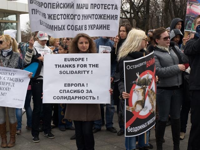 В Одессе митингуют против массового уничтожения собак