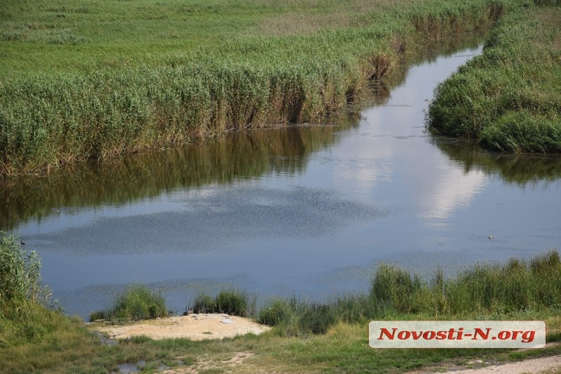 В Николаеве канализация по берегу течет прямо в реку (видео)