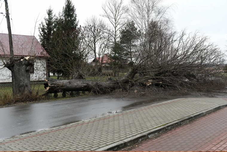 В Польше мощный ураган срывал крыши с домов и ломал деревья, как спички (видео)