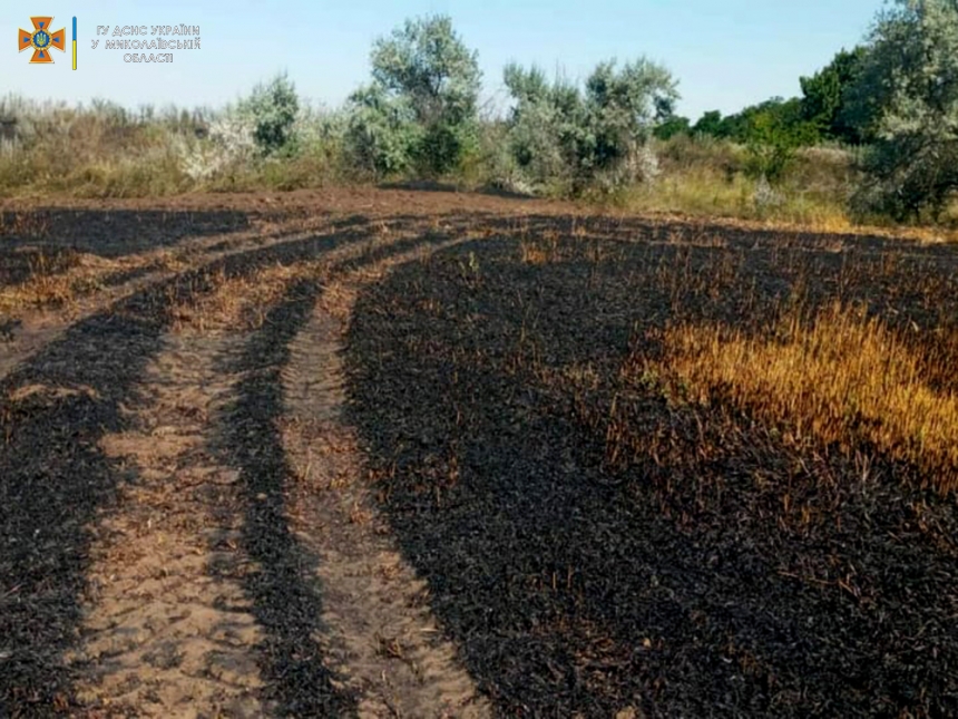 В Николаевской области неизвестные спровоцировали масштабный пожар на поле