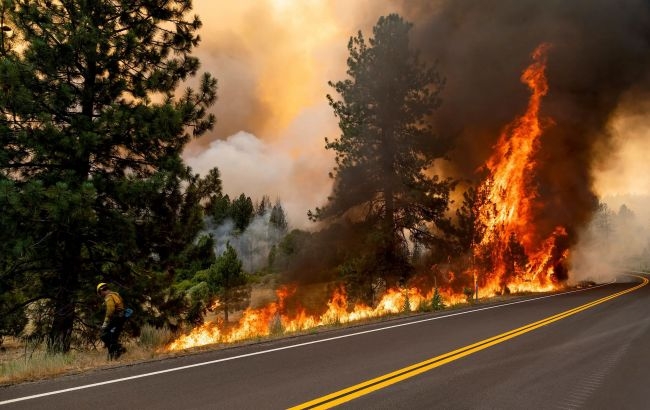 В Калифорнии вспыхнули пожары из-за жары: горят леса и дома