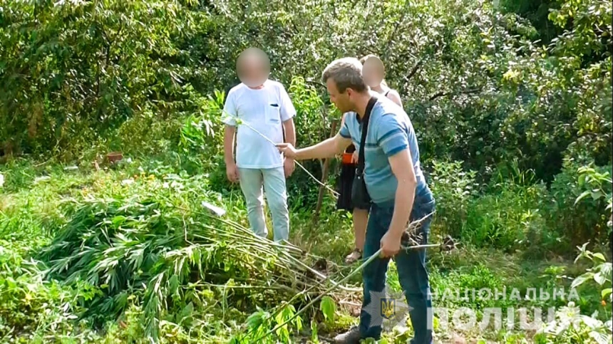В Николаевской области полицейские во время обыска изъяли каннабис и 78 кустов конопли