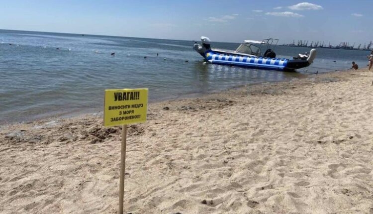 На пляже в Бердянске появились таблички с запретом выносить медуз из моря