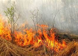 В Украине введен чрезвычайный уровень пожарной опасности