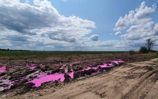 Ядовито-розовые лужи в поле под Ровно: полиция открыла уголовное производство