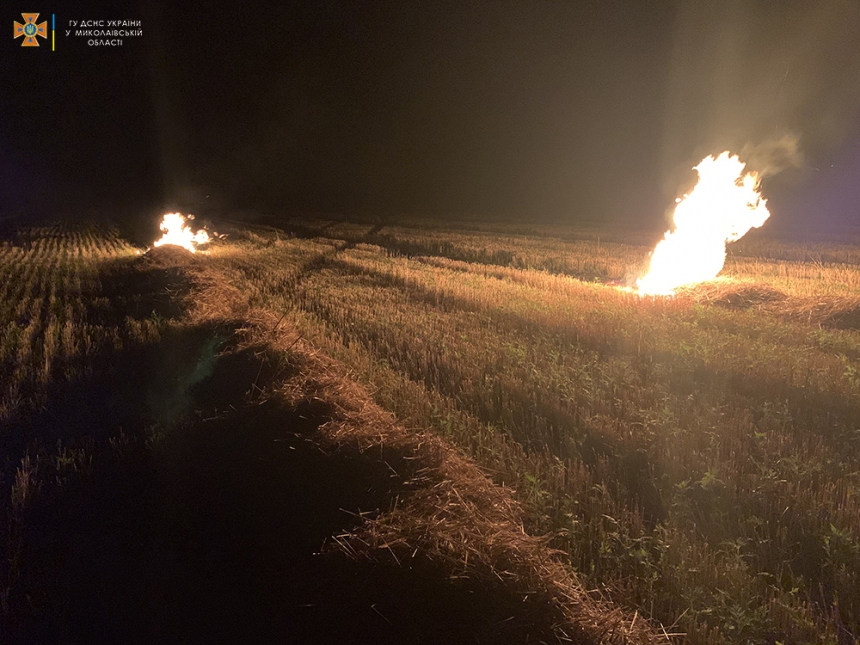 В Николаевской области из-за поджогов выгорело более 33 га сухостоя