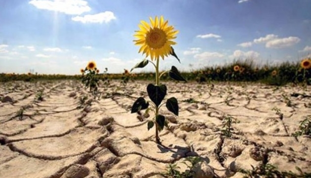 Опустынивание и аномальные зимы: каким будет климат Украины через 50 лет?