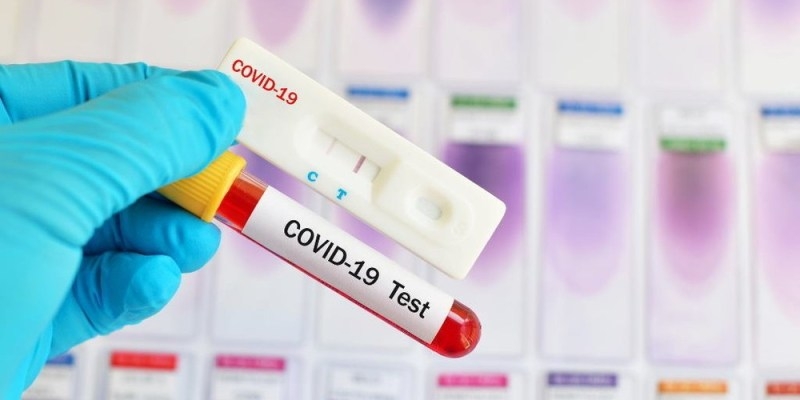 Назван срок хранения антител к COVID-19 в организме