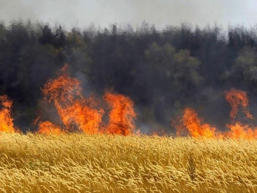 В Николаевской области за сутки пожары охватили более 20 га
