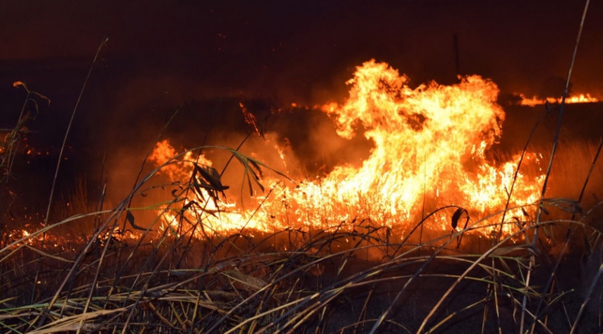 В Николаеве не утихают пожары: за сутки выгорело более 34 га территории