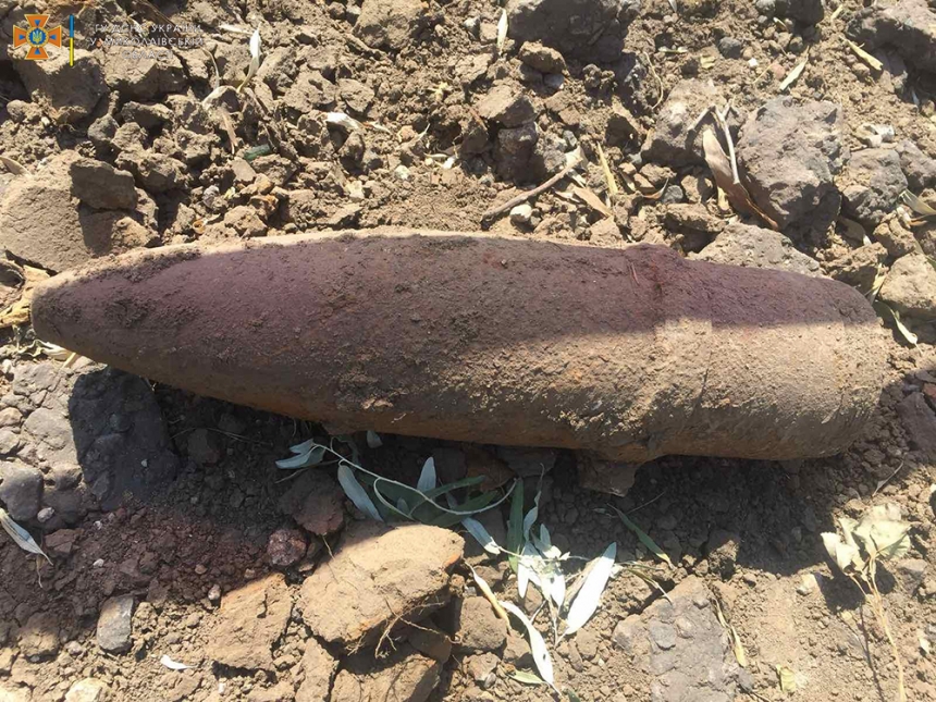 В Николаевской области пиротехники уничтожили артиллерийский снаряд