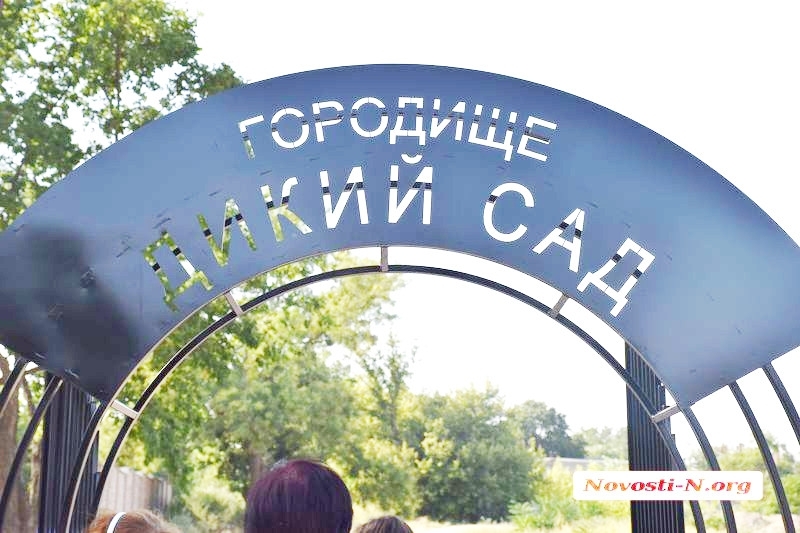 В Николаеве у городища «Дикий сад» установят «Киммерийского всадника»