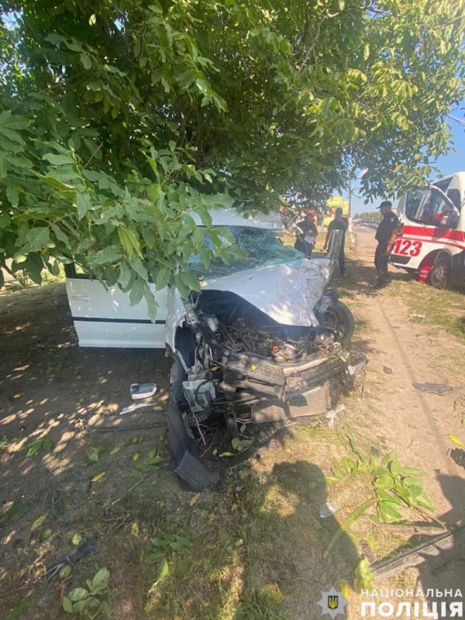 В Николаевской области «Фольксваген» врезался в дерево: водитель погиб на месте