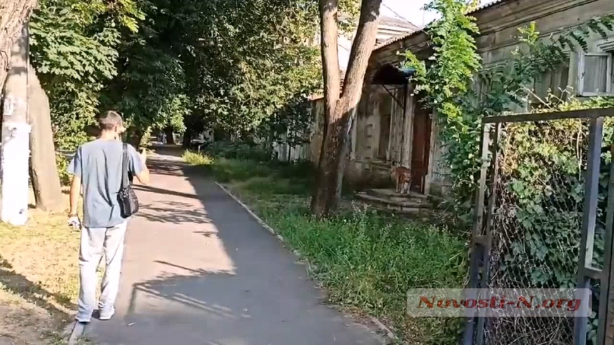 В центре Николаева собака набросилась на полицейских, оформлявших ДТП (видео)
