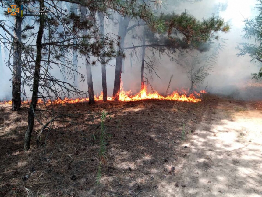 В Николаеве горел Балабановский лес