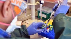 Ученые сообщили о новом южноафриканском опасном штамме коронавируса