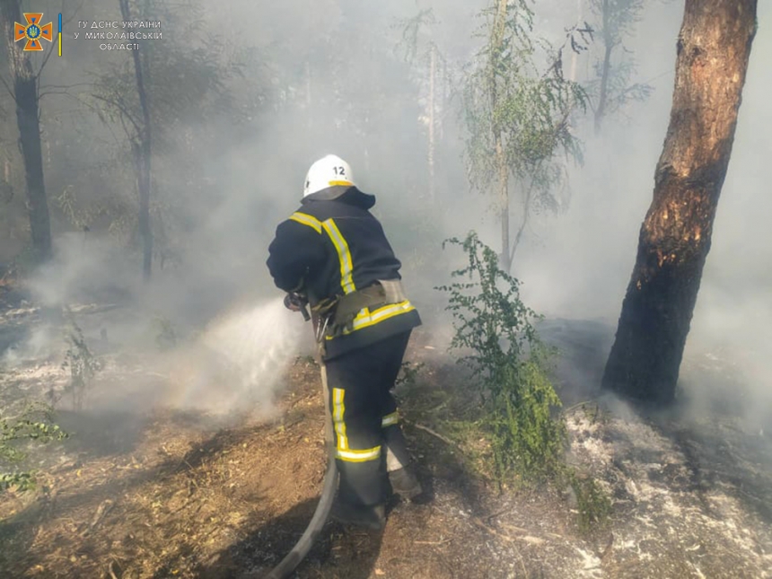 В Николаевской области горели «Бугские хутора» - причиной пожара стал поджог
