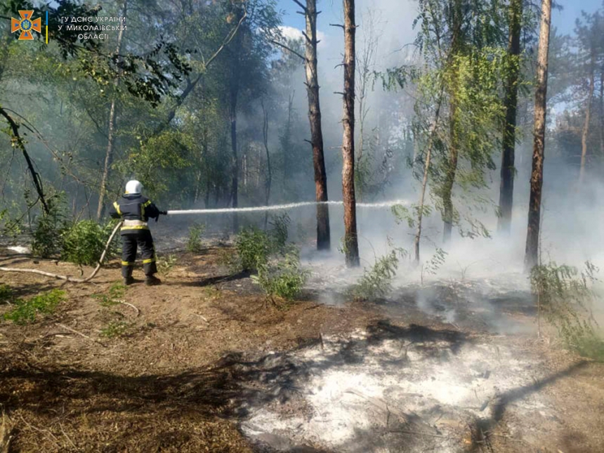 В Николаевской области горели «Бугские хутора» - причиной пожара стал поджог