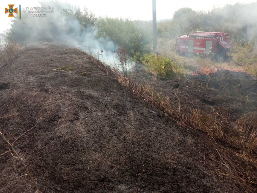 В Николаевской области за сутки из-за поджогов выгорело 29 га сухостоя и деревьев
