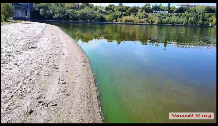 В Николаеве в реке Южный Буг зацвела вода (видео)