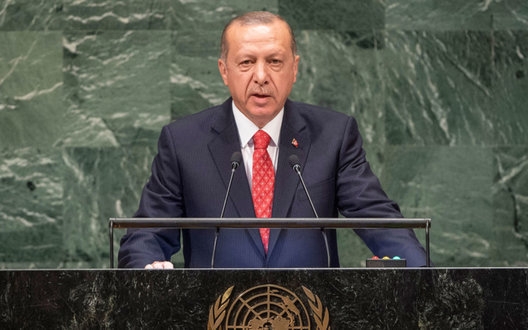 Эрдоган в ООН намекнул на право Турции на Батуми и Кипр