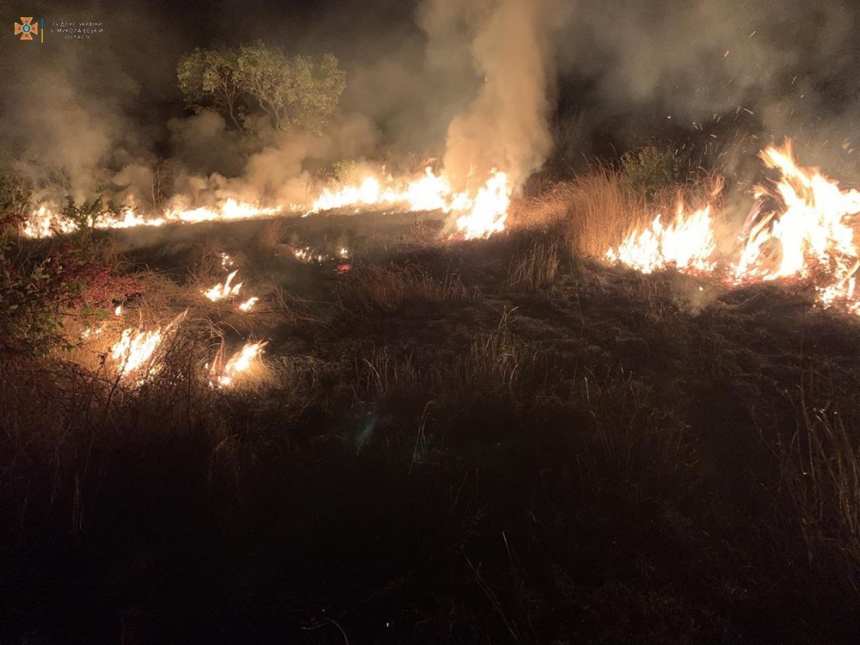 В Николаевской области выгорело более 4,5 га территории