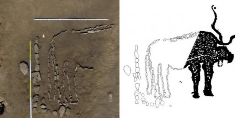 В Южной Сибири обнаружили огромное изображение быка которому тысячи лет
