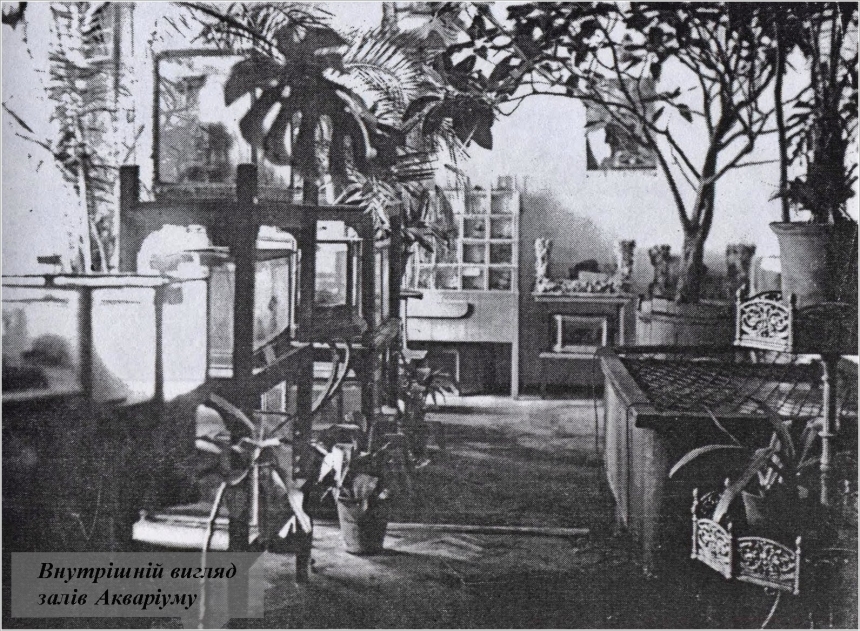 Архивный отдел показал зоопарк, находившийся на месте Николаевской ОГА