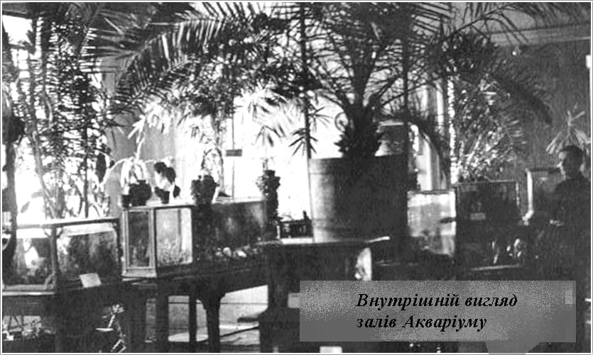 Архивный отдел показал зоопарк, находившийся на месте Николаевской ОГА