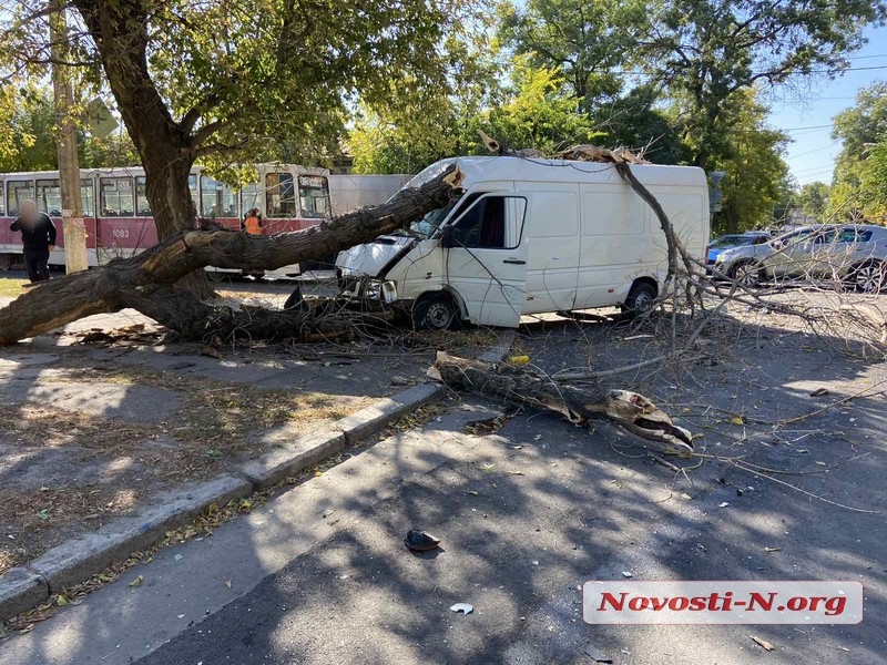 В центре Николаева микроавтобус врезался в легковушку и снес дерево: двое пострадавших