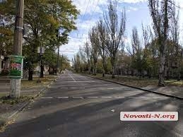 На главном проспекте Николаева хотят снести большие тополя, мешающие обзору