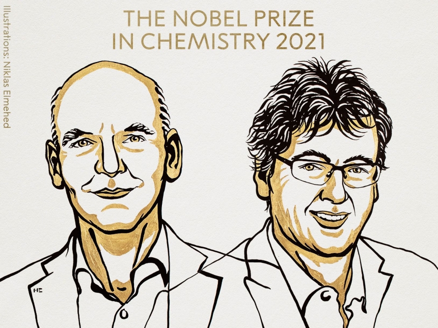 Двум ученым присудили Нобелевскую премию по химии