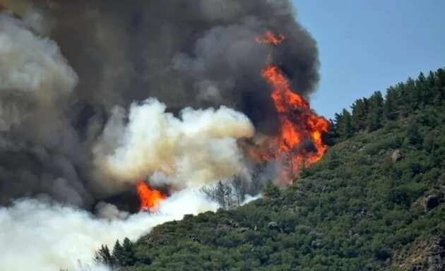 В Турции снова масштабные лесные пожары (видео)