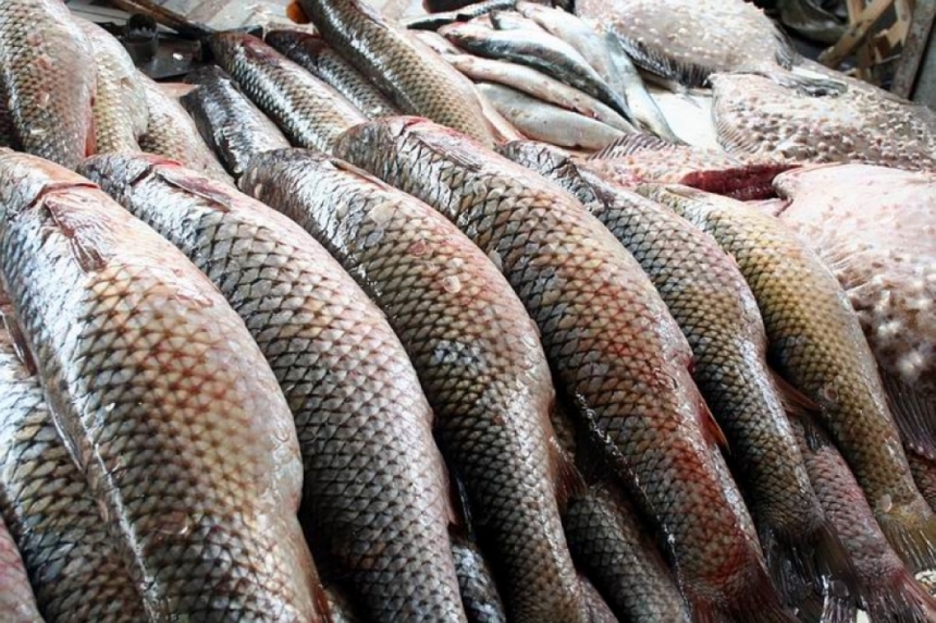 В Украине существенно увеличили штрафы за незаконный вылов рыбы