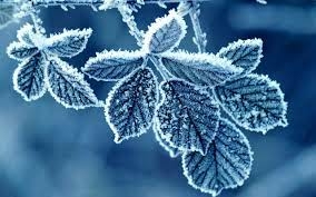 Зима в Украине будет холодной и с большими перепадами температур, – синоптик