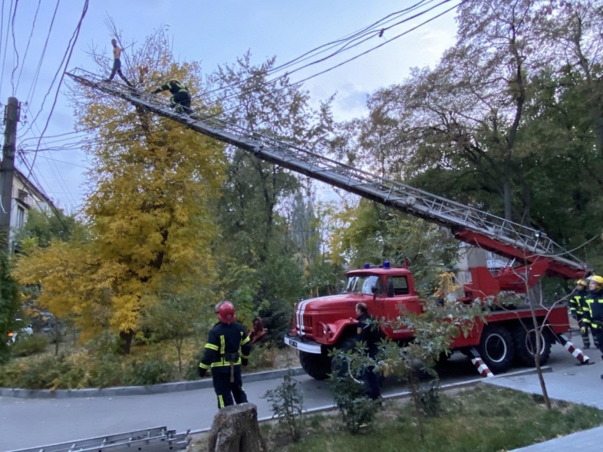 В Запорожской области спасатели несколько часов снимали самоубийцу с дерева