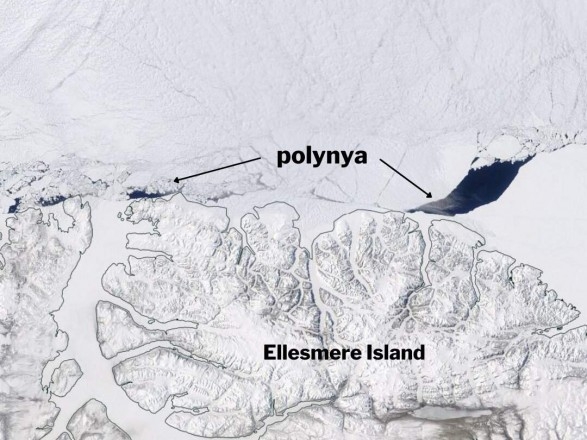 В Арктике зафиксировали разрушение самого старого ледника
