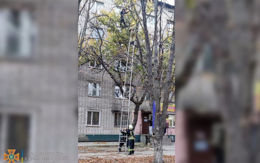 В Никополе спасатели сняли с дерева беременную женщину
