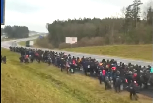 В Германии предложили разместить в Украине беженцев, что прорываются из Беларуси в Польшу 