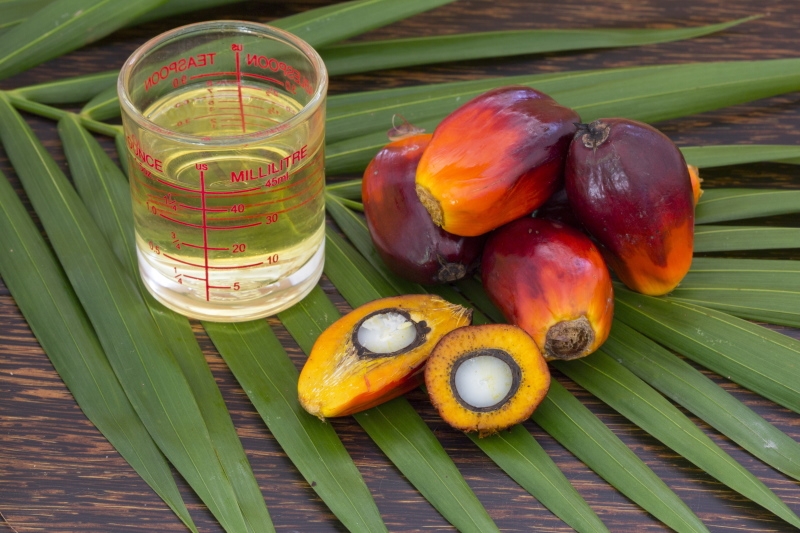 Ученые доказали, что пальмовое масло способствует распространению раковых клеток