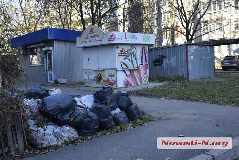 Горы мусора по дороге к дому мэра Сенкевича убрали за одно утро