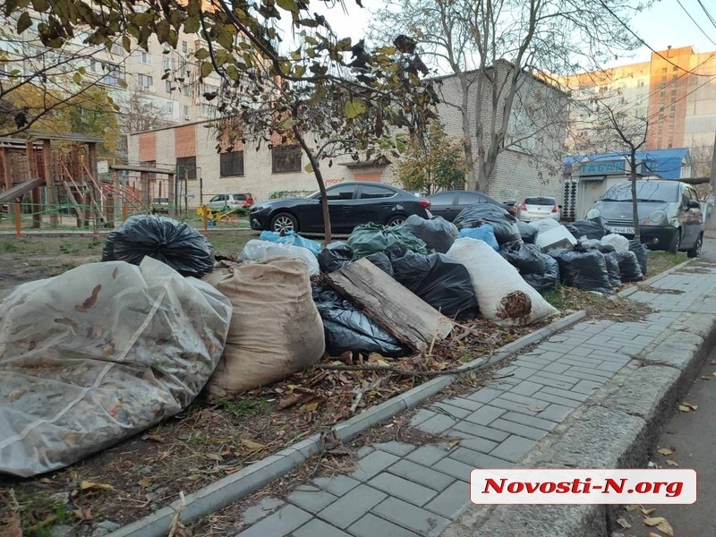 Горы мусора по дороге к дому мэра Сенкевича убрали за одно утро