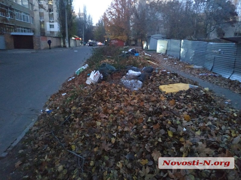Горы мусора по дороге к дому мэра Сенкевича убрали за одно утро