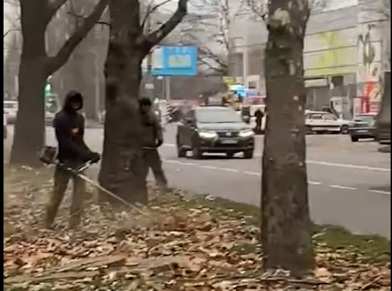 В Николаеве в конце ноября начали косить траву (видео)