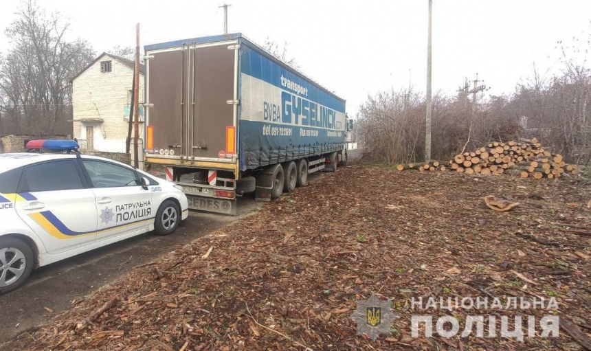 В Николаевской области незаконно спилили деревья – грузовики изъяли, ищут владельца