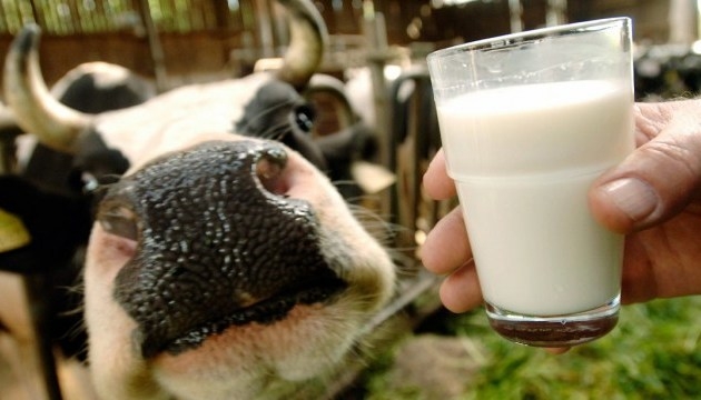 В Украине сокращается производство молока