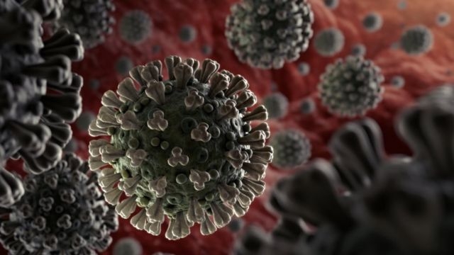 В Японии заявили о самоликвидации «Дельта»-штамма коронавируса в результате мутации